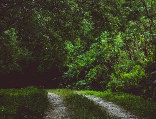 Creating a Discipleship Pathway That Means Something