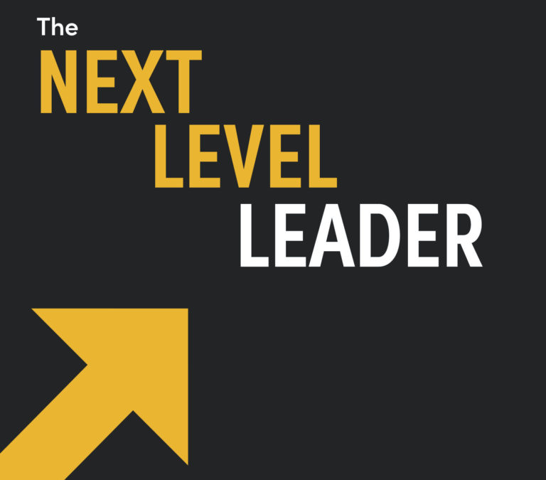 Next Level Leader: A Snapshot.