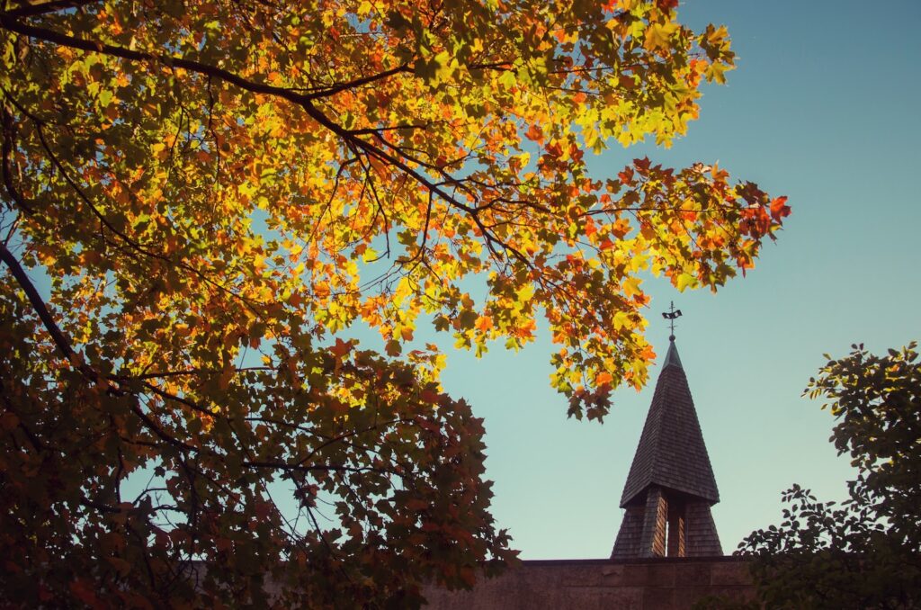 Tree with fall foliage with church steeple in background for page "Fall Kickoff Features"